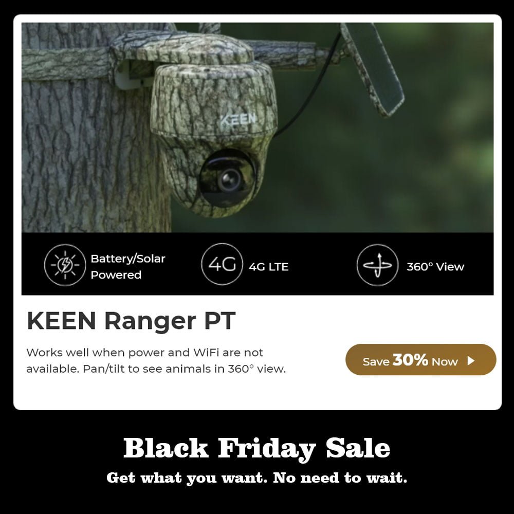 Reolink - Black Friday Sale Get what you want. No need to wait. 4 reolink04